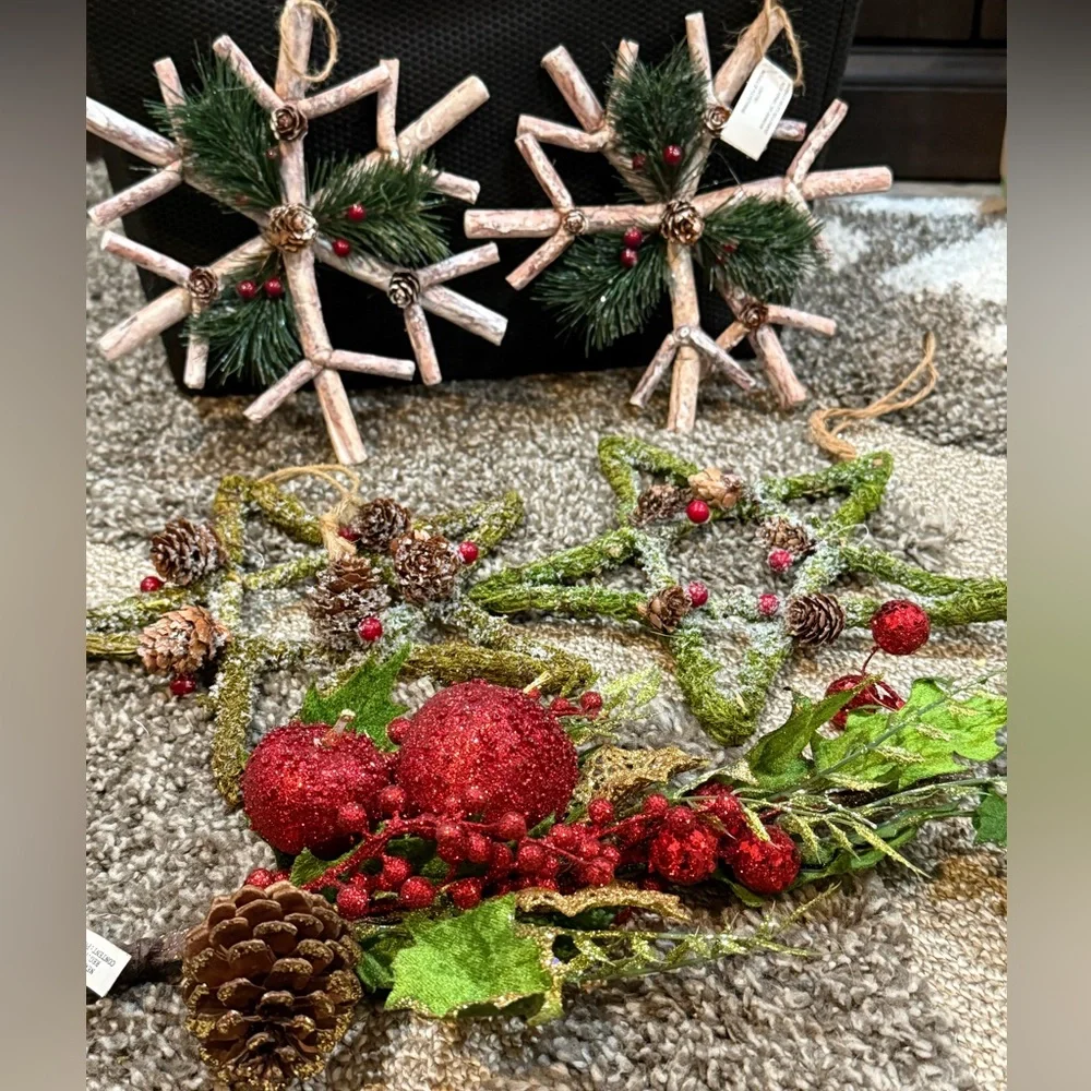 Pier 1 Rustic Twig Star & Snowflake Ornaments Michaels Fruit Pick Set of 5